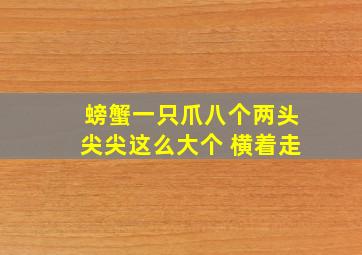 螃蟹一只爪八个两头尖尖这么大个 横着走